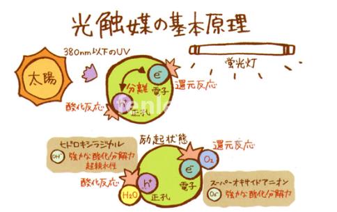 松原专业保洁公司承接开荒外墙地毯家电除甲醛灭鼠等保洁业务(松原市丽洁保洁公司)